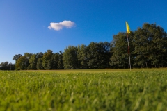 Golf-Course-2